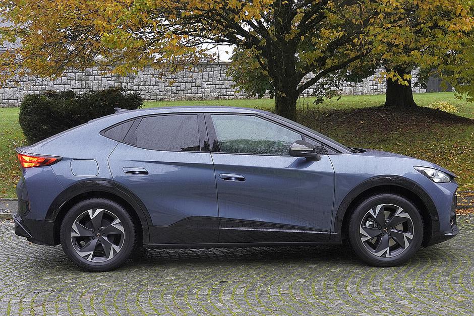 Cupra tavascan | Avtor: Matija_Janežič