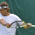 Rafael Nadal, wimbledon