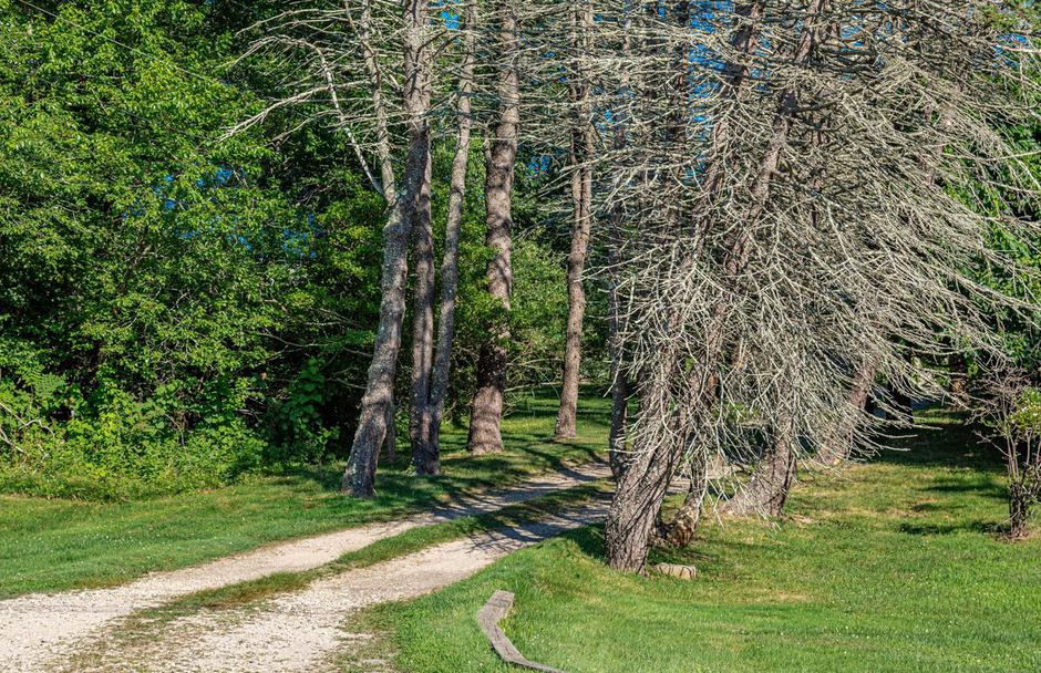 cesta | Avtor: Profimedia