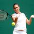 Pennetta Wimbledon tenis OP Anglije grand slam