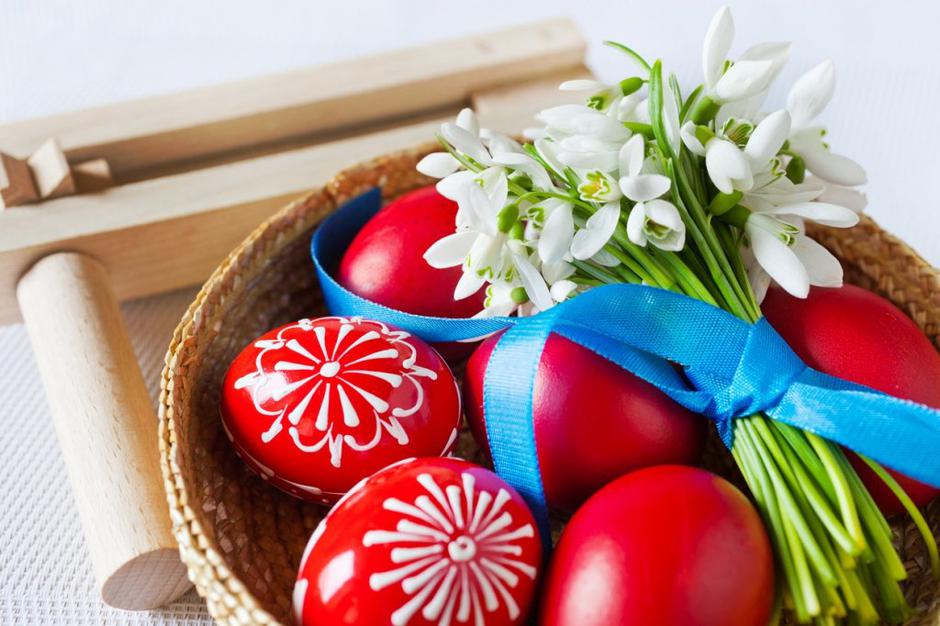 pirhi | Avtor: Profimedias