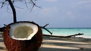 Na poti do sem raje ne jejte!