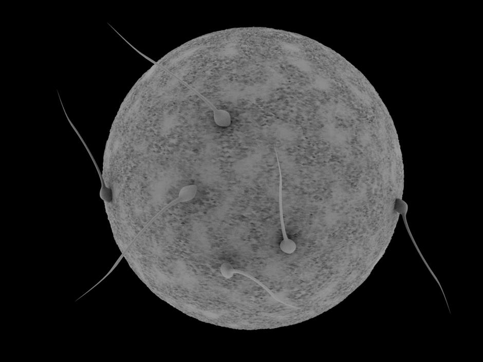 Oploditev  | Avtor: Shutterstock