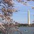 Obisk Washingtona je boljši kot listanje učbenika ameriške zgodovine.