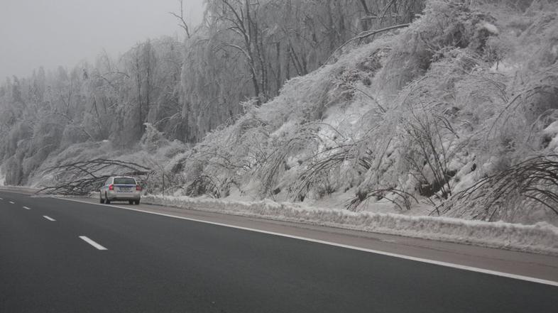 Snežna ujma v Postojni