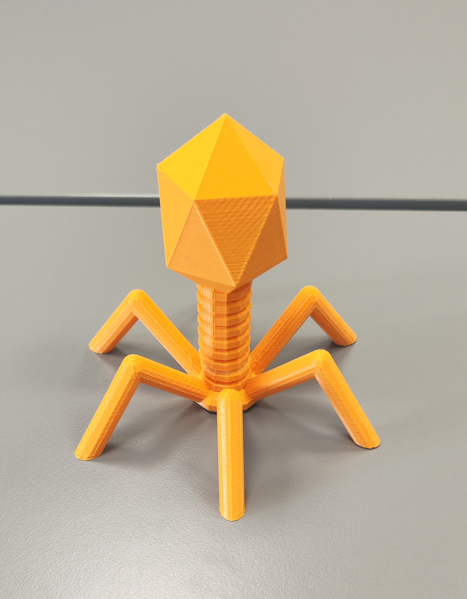 Bakteriofag | Avtor: Žurnal24 