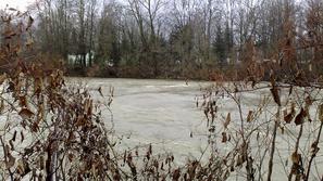 Reka Sava, deroča reka, Črnuče, poplave