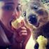 Quokka