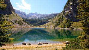 Krnsko jezero