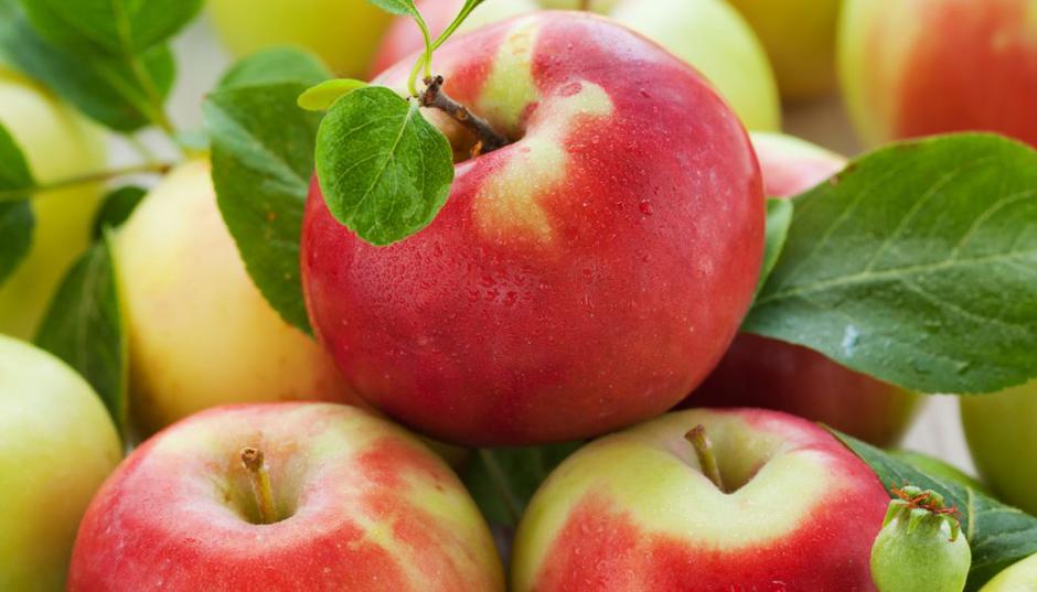 jabolko | Avtor: Shutterstock