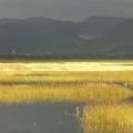 Cerkniško jezero.