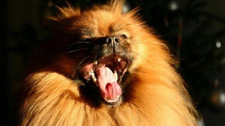 Ko je vroče, je nevarno.