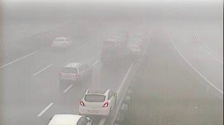 Primorka pri Razdrtem