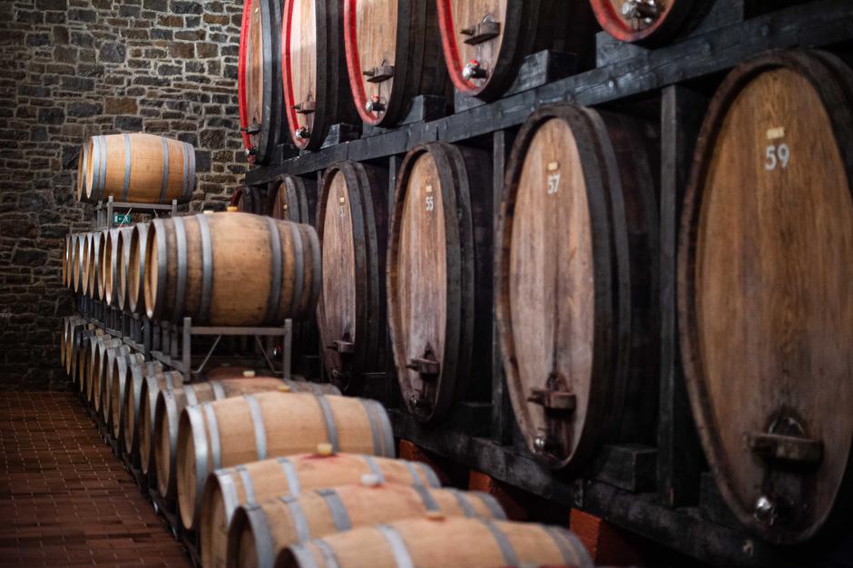 Vinakoper | Avtor: Anže Petkovšek