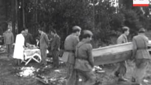 Letalska nesreča, Brnik 1966