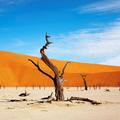 Sossusvlei, Namibija