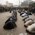 egipt, demonstracije, molitev