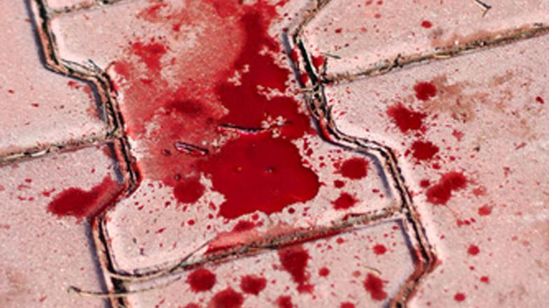 (Foto: Shutterstock)