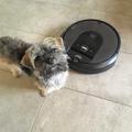 iRobot® Roomba® i7+