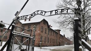 Auschwitz