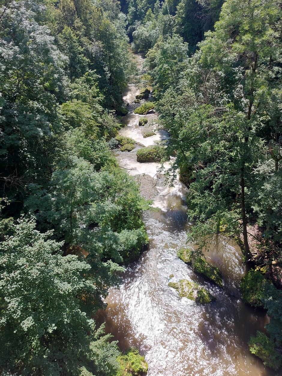 Kranj | Avtor: M. Ha.