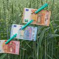 denar bankovci evro zeleni prehod