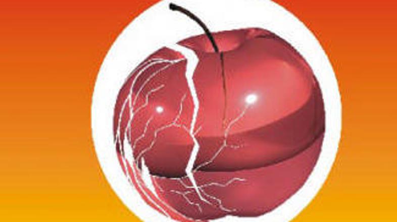 Muzikal govori o usodi romskega naroda, njegovi določenosti in svobodi.