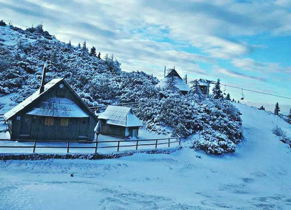 Velika Planina