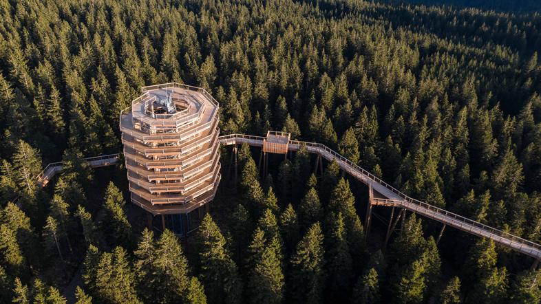 Iztok Medja: nova pot