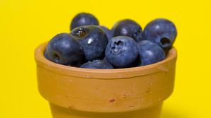 Borovnice spadajo med super živila. (Foto: Shutterstock)