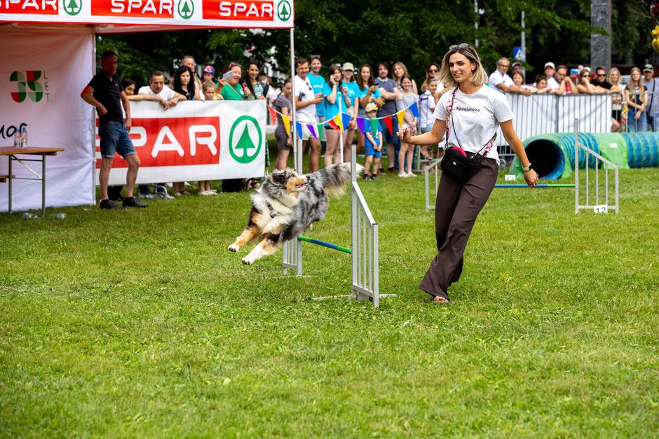 Festival za ljubitelje živali 2026 | Avtor: Cimet Studio