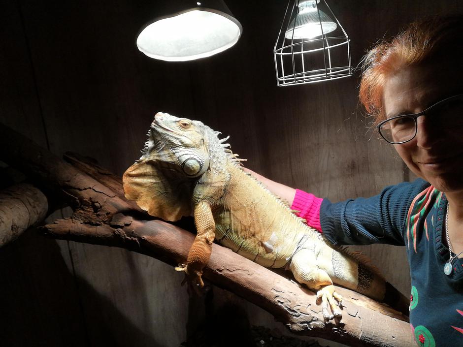 Lenny | Avtor: Čudežne zverinice Bled