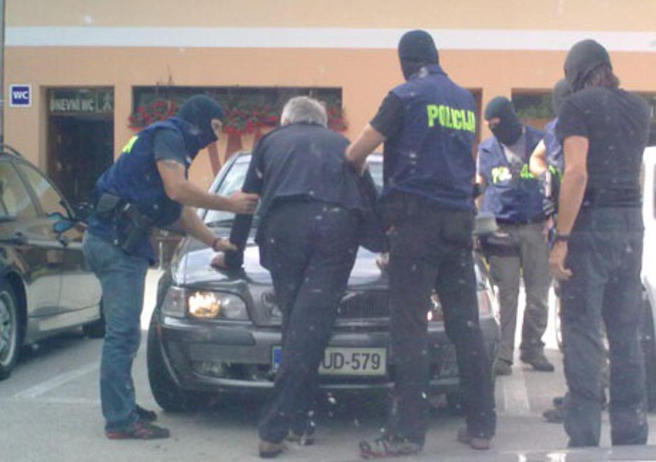 Vladimir Vodušek | Avtor: Politikis