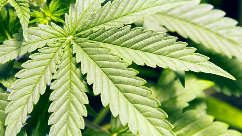 Fotografija je simbolična. (Foto: iStockPhoto)