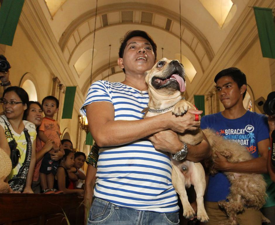 Blagoslov živali v Madridu | Avtor: EPA