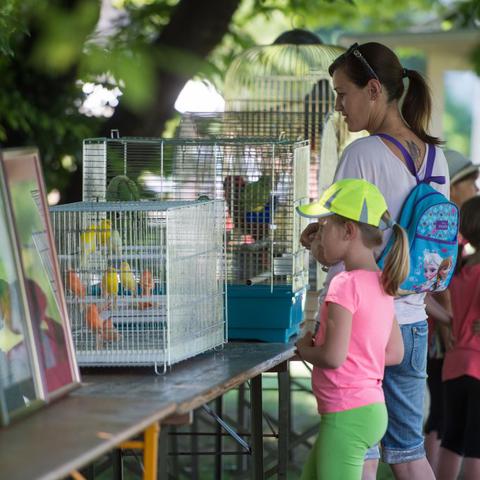 Festival za ljubitelje živali