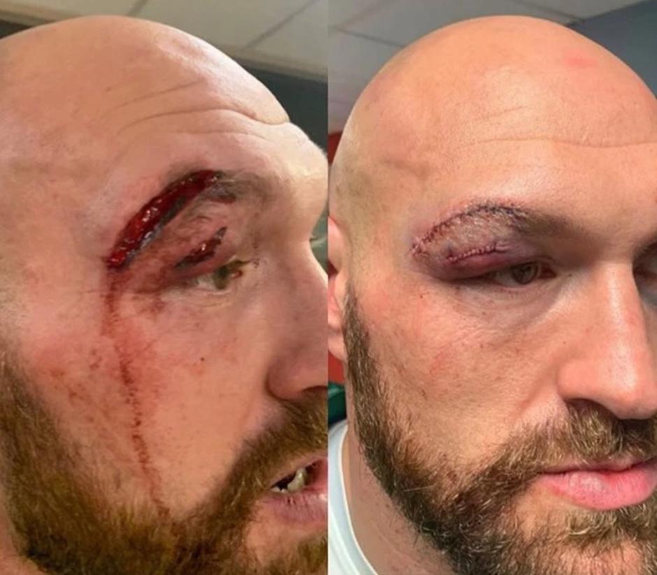  | Avtor: Reševalni pas/Twitter