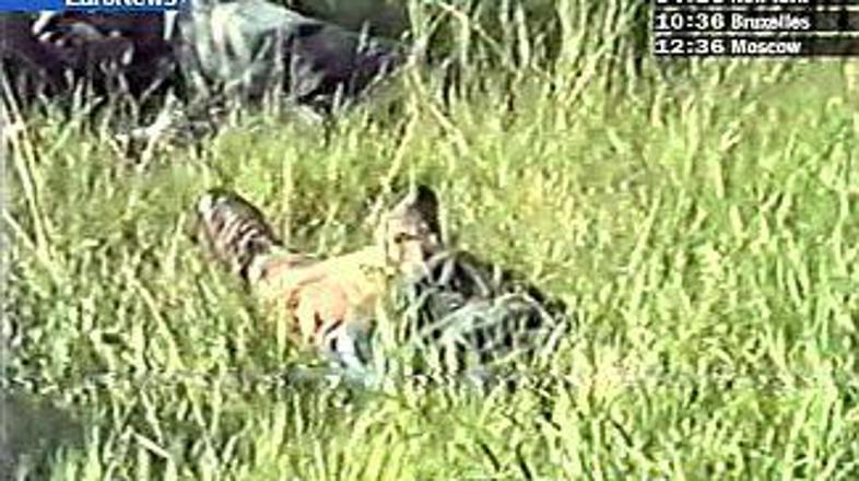 Škorpijonova žrtev