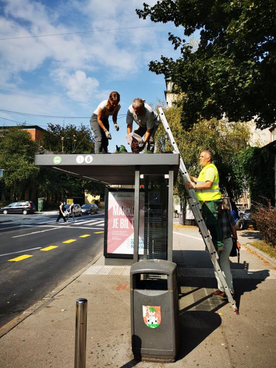 avtobusno postajališče | Avtor: Mestna občina Ljubljana