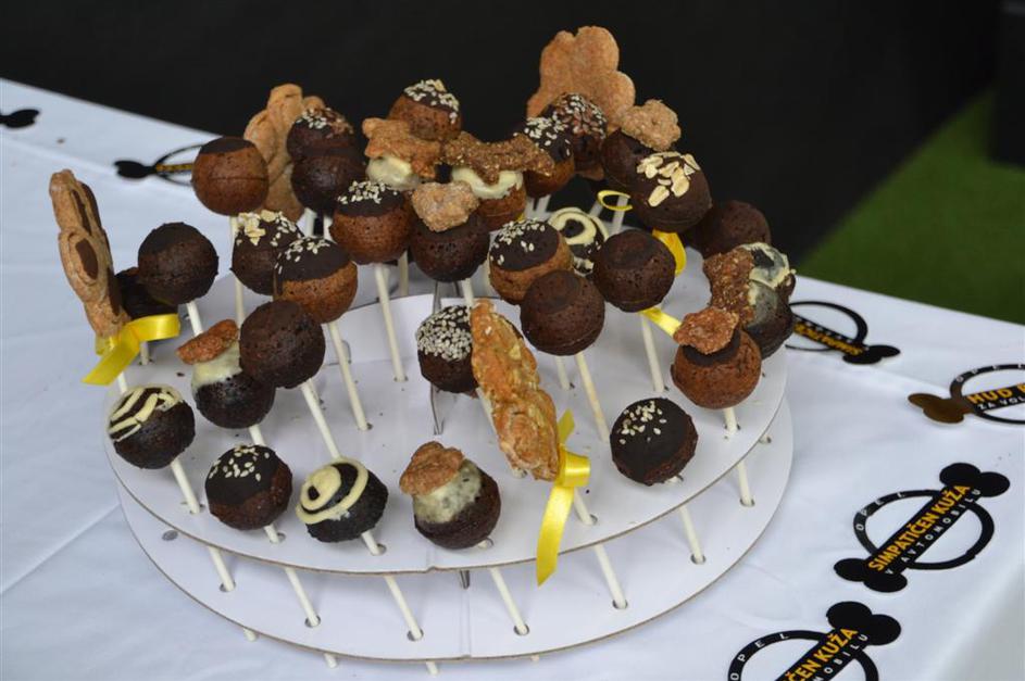 Pasji avtomobilski salon