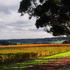 Manjimup, Avstralija