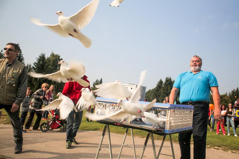 Sejem za ljubitelje živali | Avtor: Saša Despot