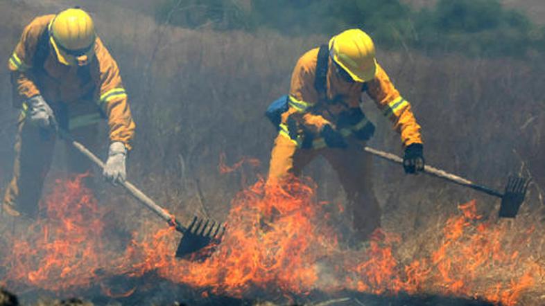 Z ognjem se že od srede bori okrog 1500 gasilcev.