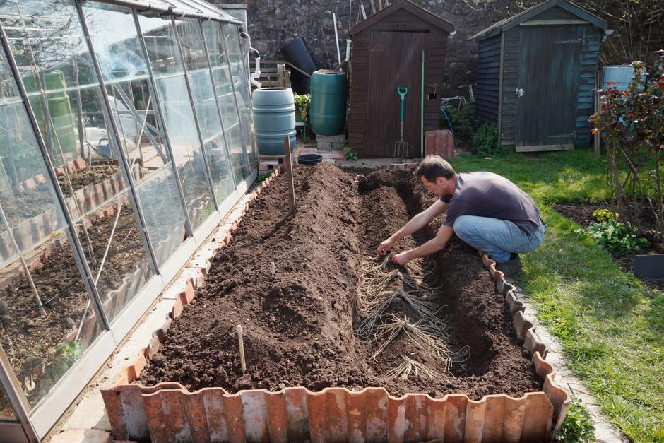 šparglji | Avtor: Profimedia