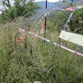 Žica ob Kolpi, preraščena s travo