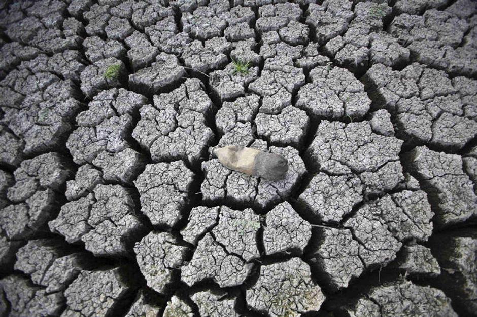  | Avtor: Žurnal24 main