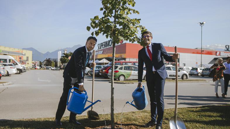 Nov drevored v Kranju