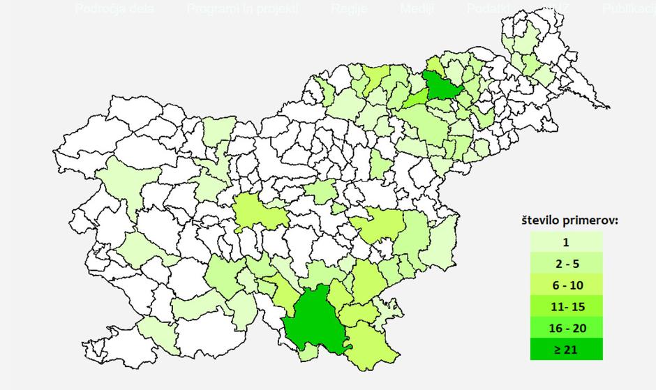 Mišja mrzlica | Avtor: NIJZ