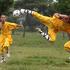 Študenti shaolina igrajo nogomet v šoli Tagou Wushu School v Zhengzhou.