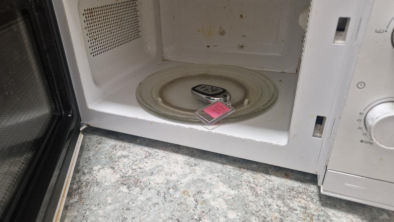 Avtomobilski ključi v mikrovalovni pečici